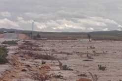 الجيش يتدخل لإنقاذ تلمسان من الفيضانات