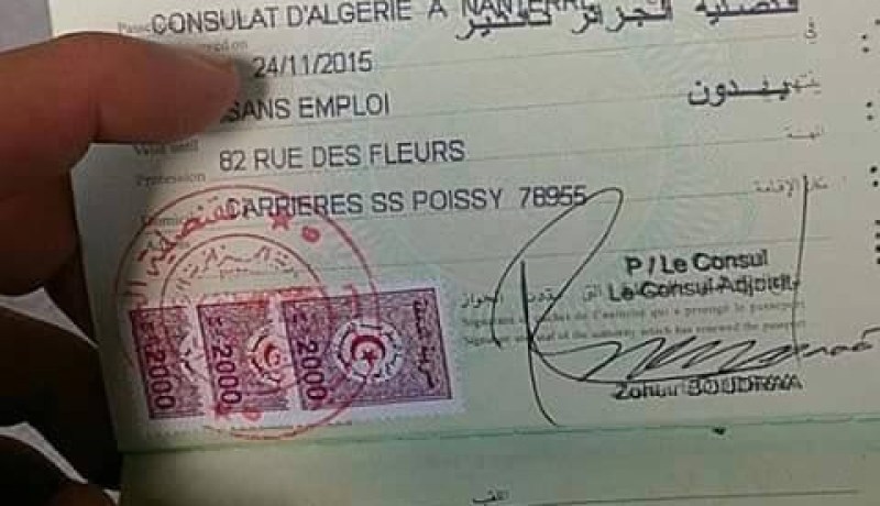 المهنة   بيدون