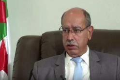 مباركي يدعو إلى تحسين مستوى التكوين المهني لتوفير موارد بشرية نوعية