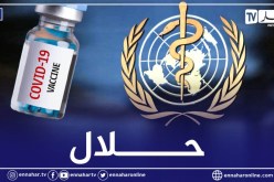 منظمة الصحة العالمية: اللقاحات ضد كورونا حلال