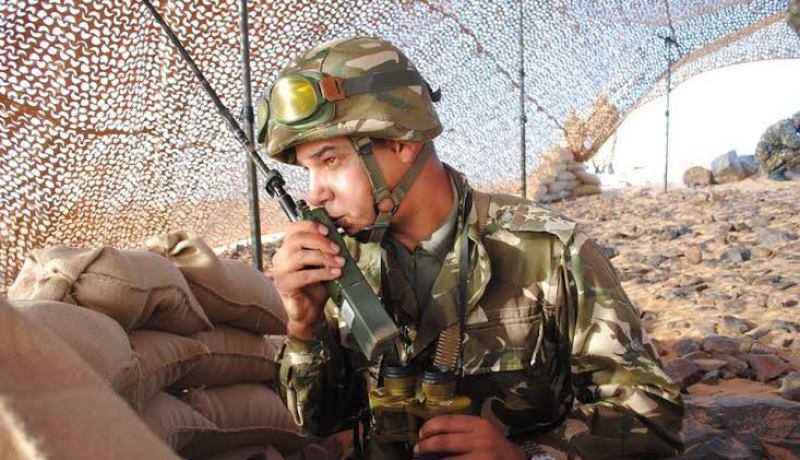 إيقاف 7 مهرّبين وتجار وحجز 671 كلغ كيف