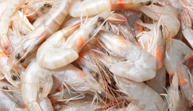 الصين تكتشف فيروس كورونا في عبوات جمبري مجمد!