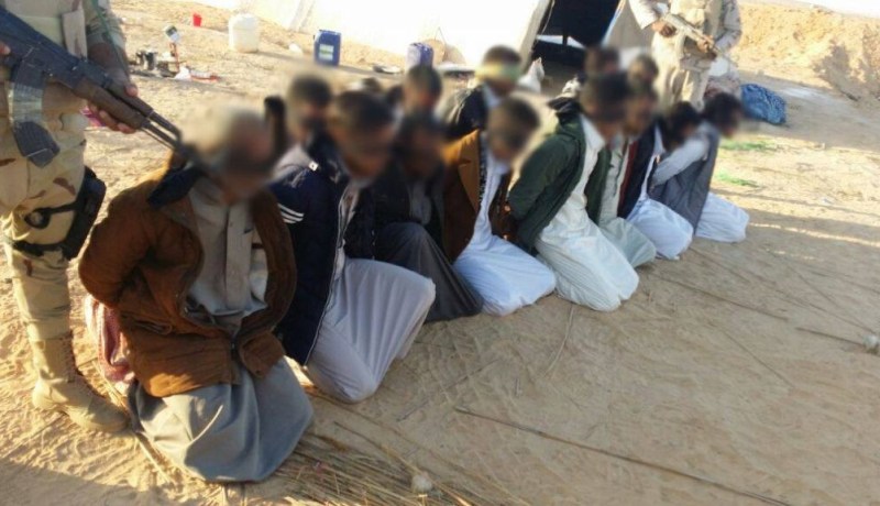 اعتقال 12 إرهابيا   في سيناء المصرية