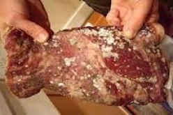 حجز أكثر من قنطار من اللحوم الحمراء في البيض