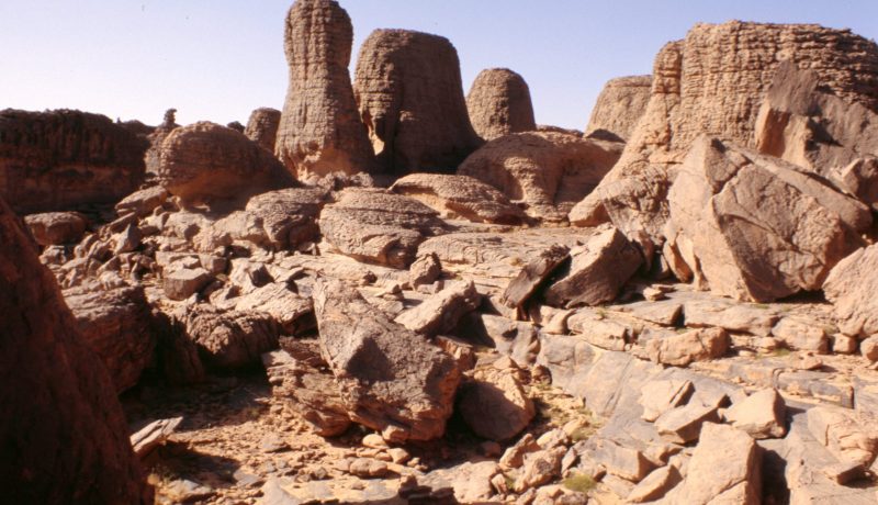 الجريدة الرسمية .. إنشاء 3 دواوين وطنية لحظائر ثقافية