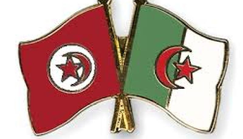 السفير التونسي يشيد بدعم الجزائر لتونس في انجاح مسارها الديمقراطي