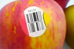 بالصور.. تعرف على سر الملصقات الموجودة على الفواكه والخضر