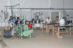 بن ساسي يدعو إلى مراجعة القانون الأساسي للوكالة الوطنية لتطوير المؤسسات الصغيرة والمتوسطة