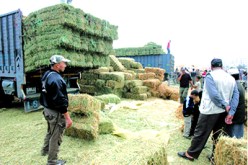 تمديد آجال دعم الأعلاف للفـلاحين إلى غـاية 2014