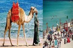 الإفراج عن سائح سنغافوري بعد اختطافه في سيناء