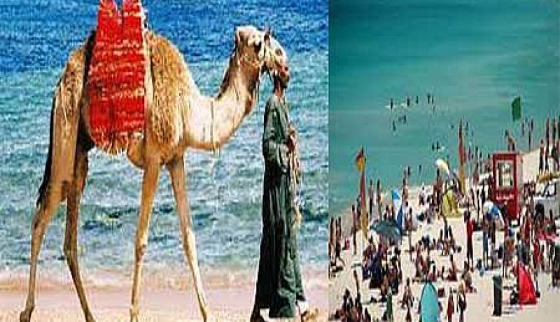 الإفراج عن سائح سنغافوري بعد اختطافه في سيناء