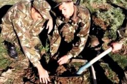 الجيش الوطني الشعبي يشرع  من النعامة في تجسيد المخطط الأخضر