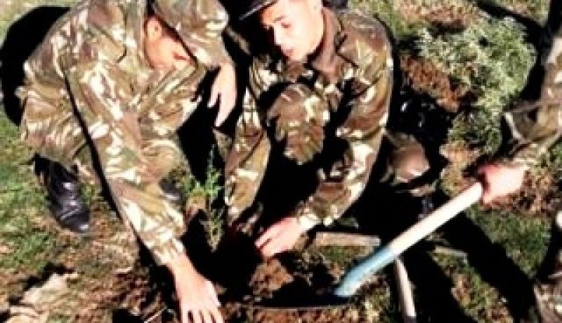 الجيش الوطني الشعبي يشرع من النعامة في تجسيد المخطط الأخضر