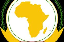 دعوة من الاتحاد الافريقي ودول غرب افريقيا الى تدخل في مالي