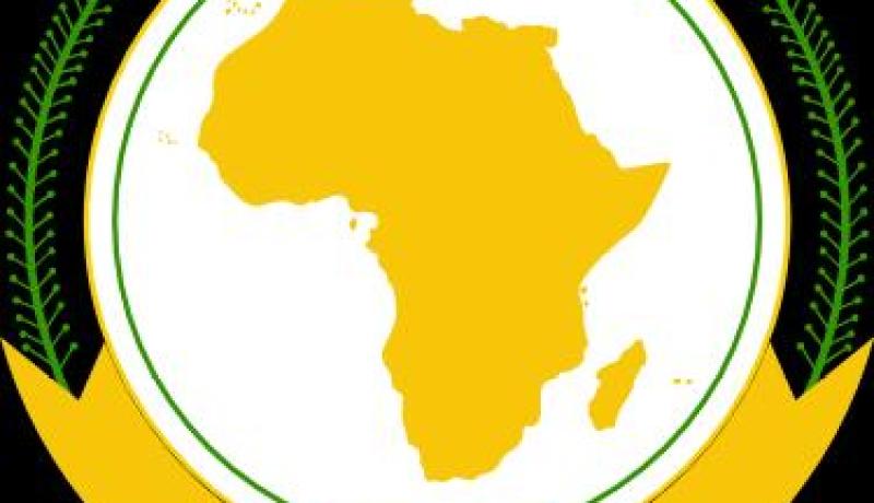 دعوة من الاتحاد الافريقي ودول غرب افريقيا الى تدخل في مالي