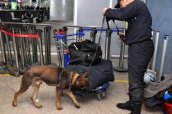 حجز 1 كلغ من الذهب و 28 ألف أورو بمطار هواري بومدين