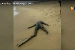 بالفيديو… العثور على جثة غطاس لفظتها أمواج البحر بمستغانم