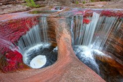 صور رائعة وخلابة لنهر كانيو كريستاليس في كولومبيا