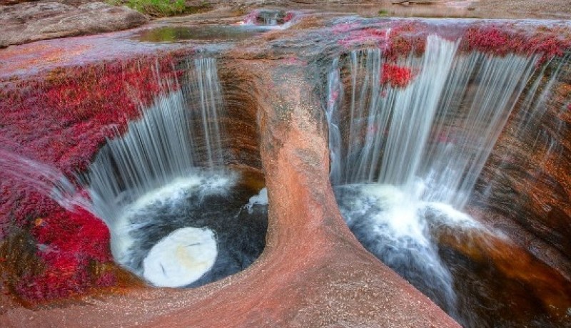صور رائعة وخلابة لنهر كانيو كريستاليس في كولومبيا