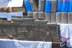 حجز أزيد من 5,6 طن من الكيف المعالج في ظرف شهرين بغرب البلاد