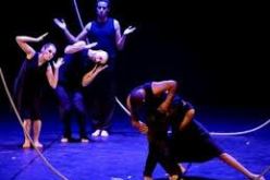 افتتاح المهرجان الدولي الخامس للفن المعاصر بالجزائر العاصمة