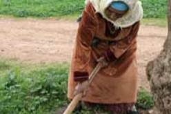 وزارة التضامن تسطر برنامجا ثريا لدعم النساء الريفيات على المدى البعيد