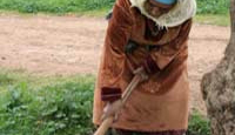 وزارة التضامن تسطر برنامجا ثريا لدعم النساء الريفيات على المدى البعيد