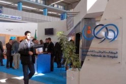 أنام توفر أزيد من 5 ألاف منصب شغل بولايات الغرب