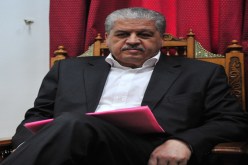 “فليطوكس” سلال وغابة بن يونس