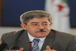 أويحيى.. شعرة معاوية