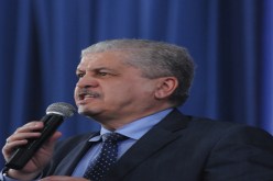 حتى التراريس.. داروها غلطة