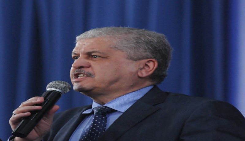 حتى التراريس.. داروها غلطة