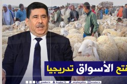 وزير الفلاحة: الحجر الصحي إنعكس سلبا على أسواق المواشي وسنفتح نقاط البيع تدريجيا