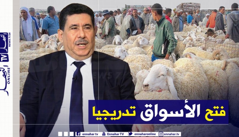 وزير الفلاحة: الحجر الصحي إنعكس سلبا على أسواق المواشي وسنفتح نقاط البيع تدريجيا