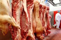 محكمة أمريكية تحظر تقديم لحم الخنزير للسجناء المسلمين