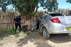 عين الدفلى.. نطحة ثور تردي شيخا بعين البنيان ووفاة خمسيني في حادث مرور 