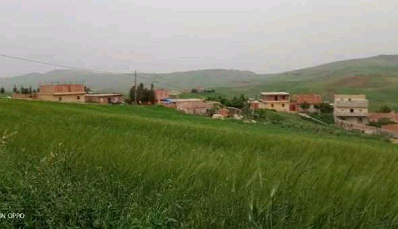 الشلف: السلطات المحلية بالزبوجة تسترجع عقار تابع للدولة