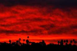 إرتفاع ضحايا حرائق كاليفورنيا إلى 66 قتيلا وأكثر من 600 مفقود