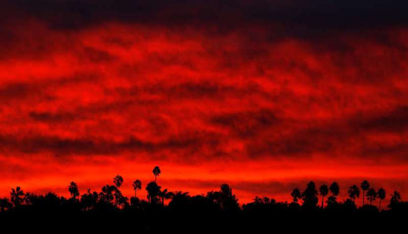 إرتفاع ضحايا حرائق كاليفورنيا إلى 66 قتيلا وأكثر من 600 مفقود