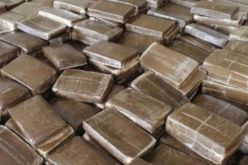 أمن تيسمسيلت يوقف مروجين للمخدرات ويحجز 595 غرام من “الزطلة”