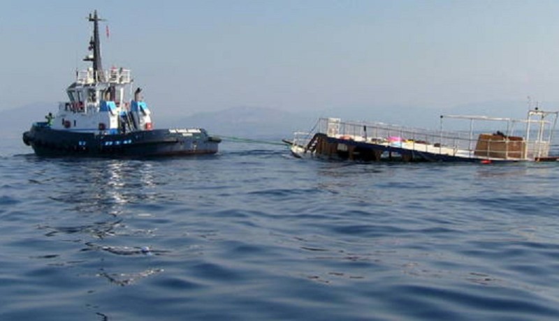 مصرع 8 مهاجرين بعد غرق زورقهم قبالة السواحل التركية