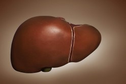 الصحة العالمية: ربع مليون إنسان يعانون من إلتهاب الكبد