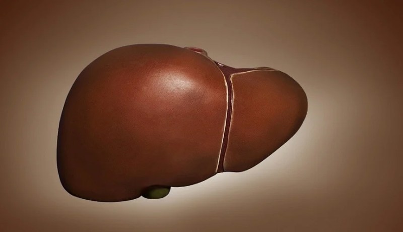 الصحة العالمية: ربع مليون إنسان يعانون من إلتهاب الكبد