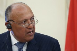 وزير الخارجية المصري: “وسائل إعلام تركية وقطرية حرضت المصريين ضد الدولة”