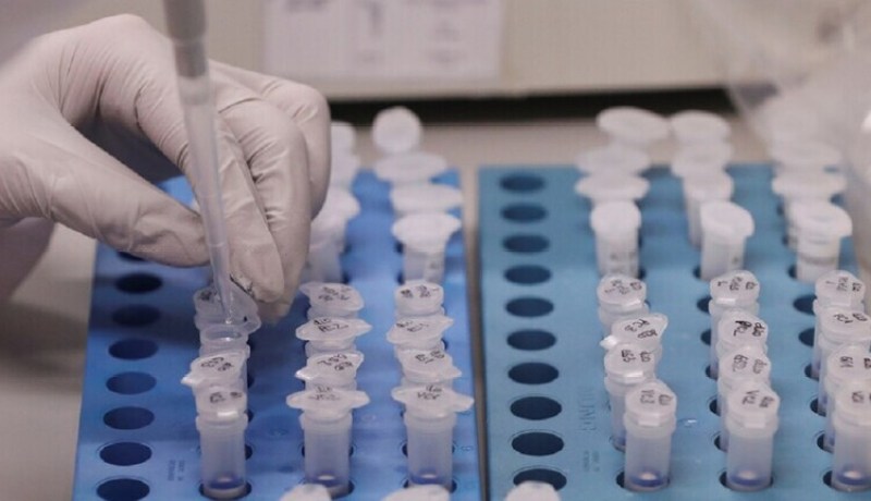 الصحة العالمية: تطوير لقاح لفيروس كورونا سيستغرق عاما على الأقل