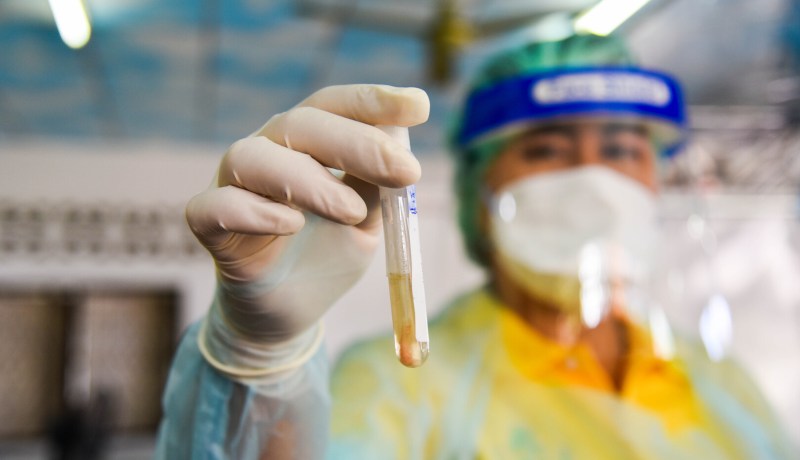 مختبر ووهان: لدينا عينات فيروسات تاجية تنحدر من الخفافيش!