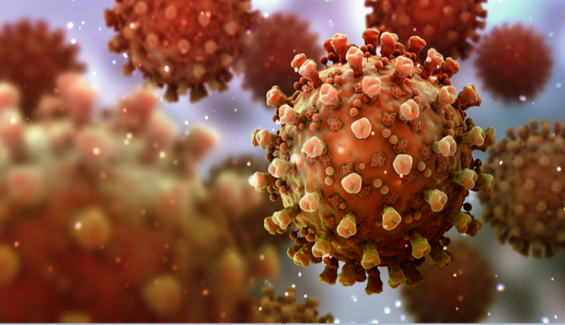 كورونا.. جامعة روسية تنتهي من اختبارات لقاح مضاد للفيروس بنجاح