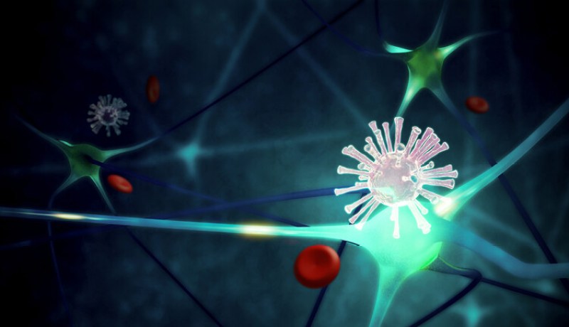 قتل 7 أشخاص حتى الآن.. تفشي فيروس جديد في الصين يثير المخاوف