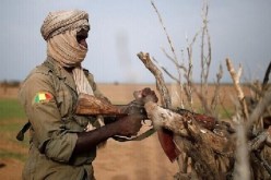 إطلاق نار واعتقال وزراء.. أنباء عن إنقلاب عسكري في مالي