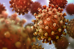 دراسة تكشف مدى استمرار الأجسام المضادة لكورونا في الجسم